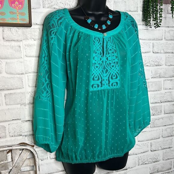 Fig and Flower Turquoise Blouse with Embroidered Design - Picture 1 of 7